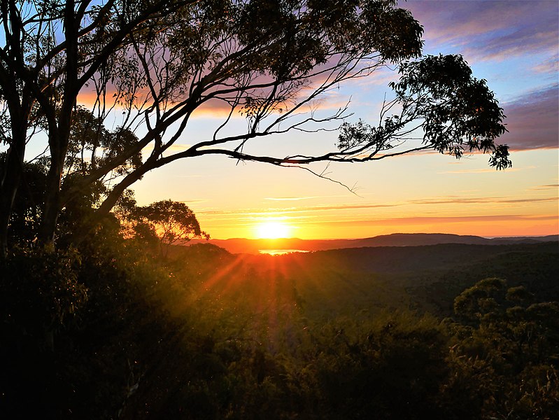 File:Brisbane Water National Park sunrise.jpg