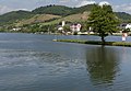 Bullay, die Katholische Pfarrkirche Sankt Maria Magdalena im Dorf