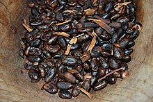 Toasted cocoa beans at a chocolate workshop at the La Chonita Hacienda in Tabasco.