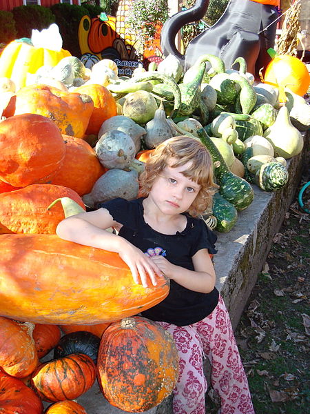 File:Caitlin with gourds.JPG