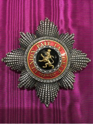 Order of Leopold I breast star Capture OL.png