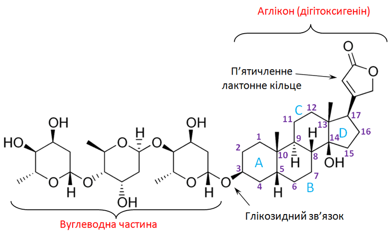 File:Cardiac glycoside uk.png