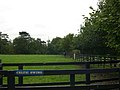 Racehorse at Irish National Stud