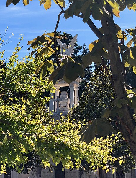 File:Cemitério dos Prazeres • Cemetery Prazeres (50662793697).jpg