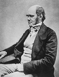 Portreta foto de Darwin, probable de 1854