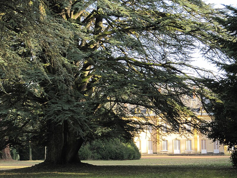 File:Chateau Rambuteau.JPG