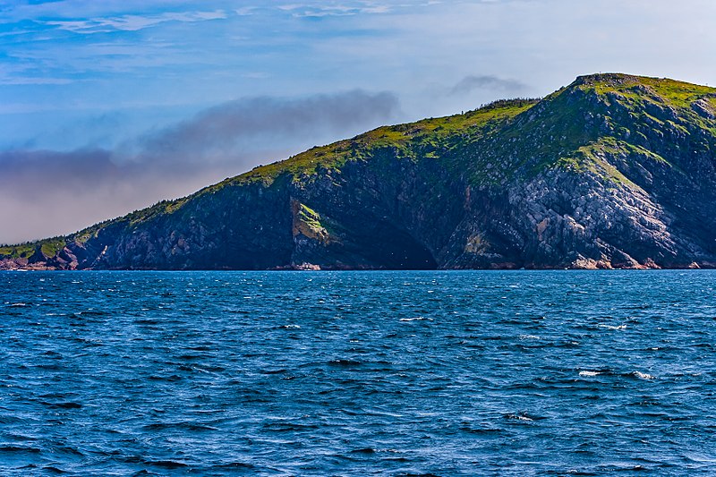 File:Coastline St John Newfoundland (41321614552).jpg