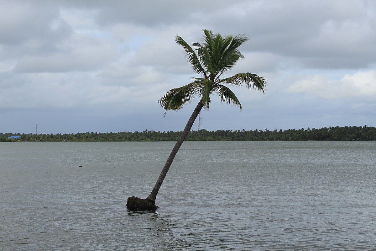 Munroe Island in Kollam, South Kerala - A Complete Travel Guide