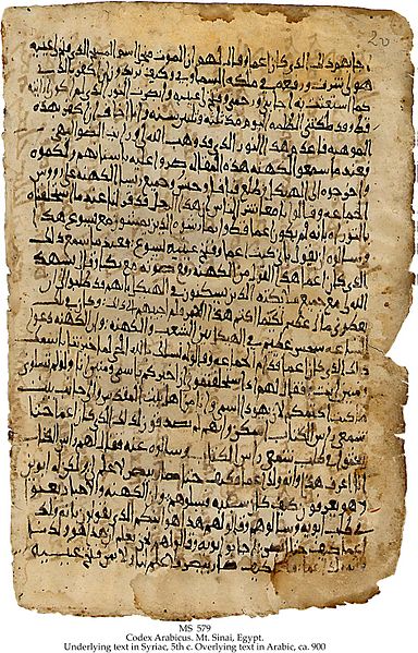 File:Codex Arabicus.jpg