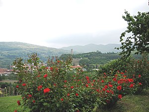 Cortemilia natura. Cascina di Monte Oliveto. Il rosaio a maggio.