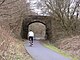 Cycle Path - geograph.org.uk - 352364.jpg