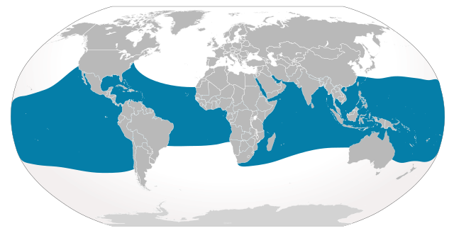 Distribución xeográfica do tiburón balea