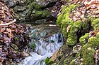 Detmold - 2016-03-26 - Falkenburg karst spring (015) .jpg