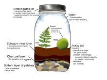 Different components of a successful mesocosm Different components of a successful mesocosm.svg