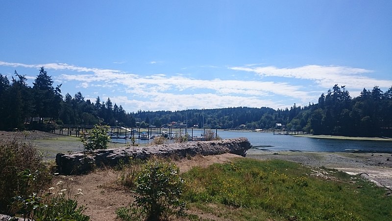 File:Docks and forest clearing on Bainbridge Island.jpg