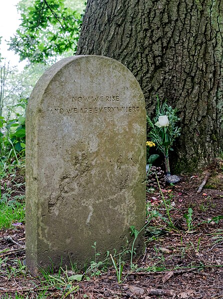 File:Drake's Family Grave Gravestone.jpg