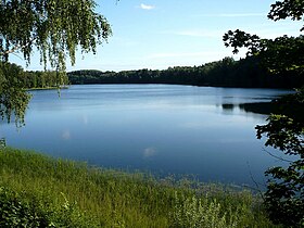 Illustratives Bild des Artikels Lac Drīdzis