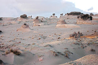 Erosion in a Paramo, caused by deforestation and cattle