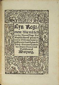Німецький трактат про «нову чуму — англійську пітницю», виданий Еврицієм Кордом (Генрихом Ритце) в 1529 году