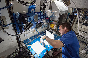 Expedition 36 flight engineer Chris Cassidy.jpg