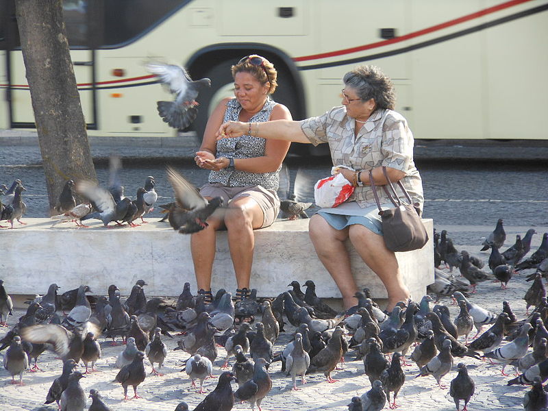 File:Feeding Pigeons (5963366183).jpg