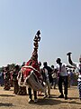 File:Festival des Arts de l'ethnie baga 34.jpg