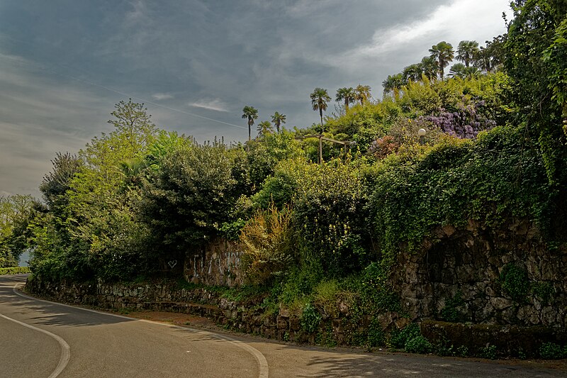 File:Firenze - Florence - Viale Giuseppe Poggi - View ENE.jpg