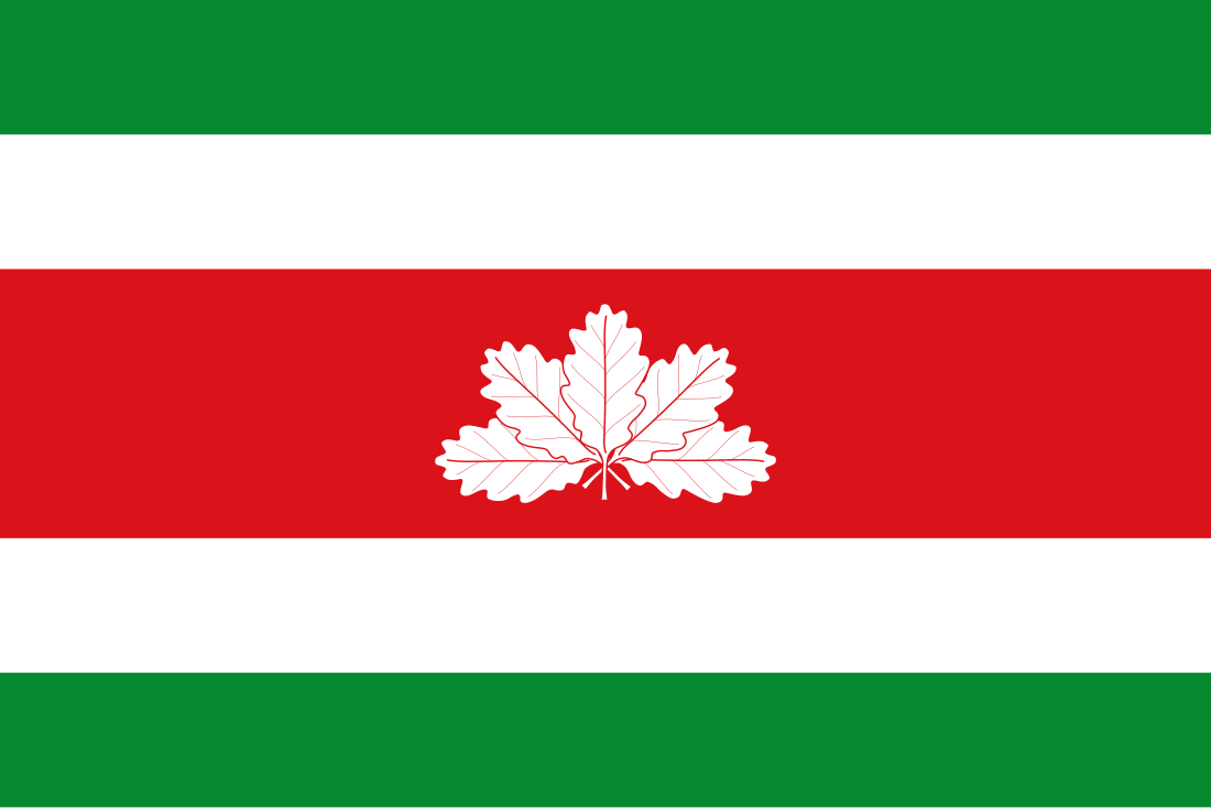 File:Flag of Boyacá Department.svg