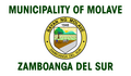 Flag of Molave, Zamboanga del Sur.png