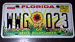 Florida State Wildflower License Plate.jpg