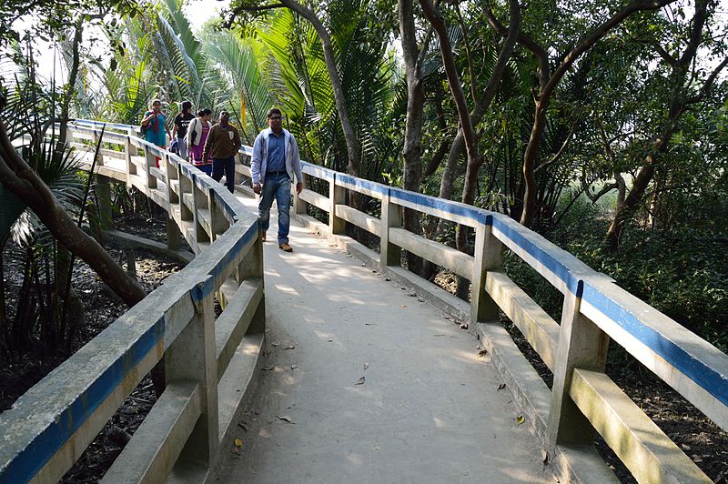 File:Footbridge - Sundarban Biodiversity and Interpretation Area - Taki - North 24 Parganas 2015-01-13 4662.JPG