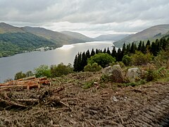 Forest clearance (4) - geograph.org.uk - 5185121.jpg