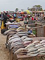 Tanji Fish Market, Tanji, The Gambia