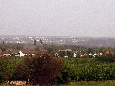 Gelsdorf