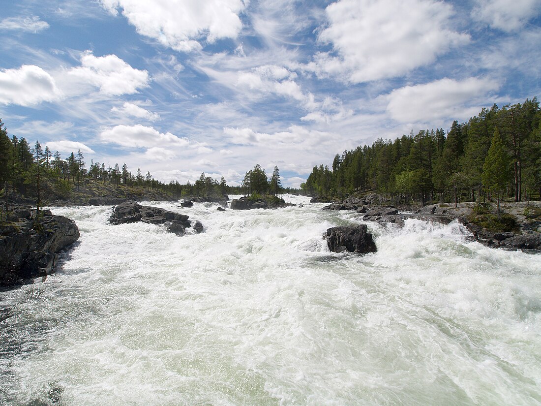 Numedalslågen