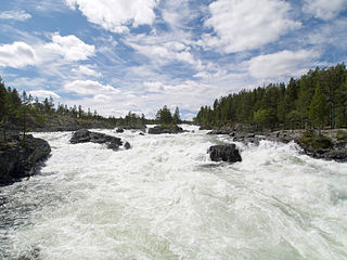 <span class="mw-page-title-main">Numedalslågen</span> River in Norway