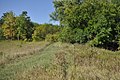 GreeneCountyIA LincolnHighway ButtricksCreekAbandonedSegment.jpg