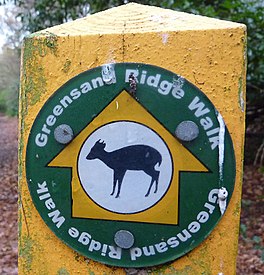 Greensand Ridge Walk Waymarker.jpg