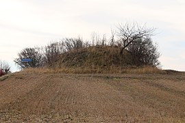 Grimmhög, Löderup 1-1, gravhög.jpg