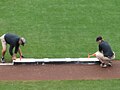 Groundskeepers preparing the AT&T Park infield for a San Francisco Giants home game against the San Diego Padres.