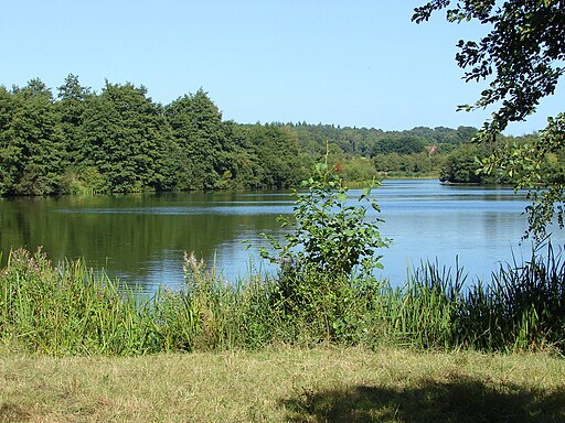 Grove Lake - geograph.org.uk - 3635626