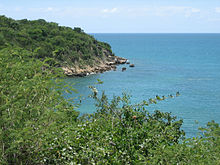 Guánica State forest.jpg