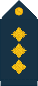 File:Guyana Defence Force (GDF) Air Corps Captain rank insignia.svg