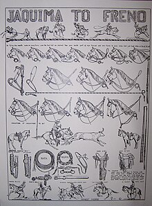 A poster illustrating the process of training a spade bit horse Hackamore to bit.jpg