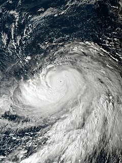 Typhoon Hagibis Pacific typhoon in 2019