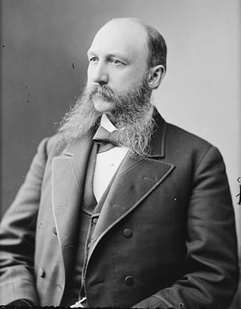 West Virginia Governor Henry Mason Mathews (1834–1884) was the first of the Bourbon Democrats to reach the highest office of state politics[8]