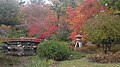 wikimedia_commons=File:Herbstjapanischergartenhohewarte.jpg
