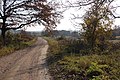 Landschaft beim Dorf Porva im Komitat Veszprém