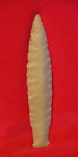 A fluted point made from Hixton quartzite HixtonPoint.jpg