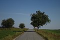 Čeština: Silnice do vesnice Holýšov v kraji Vysočina English: A road to the village of Holýšov in Vysočina Region, CZ